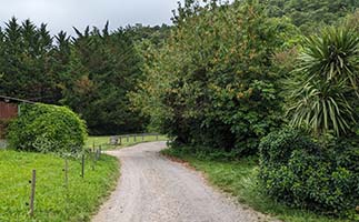 Chemin de campagne