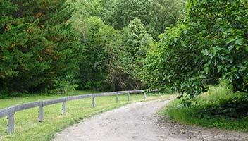 Chemin de campagne